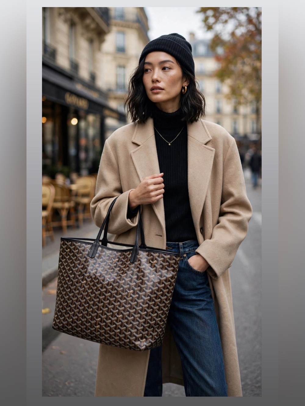 Authentic Goyard St Louis PM